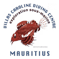 Exploration Sous-Marine logo