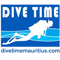 Divetime logo