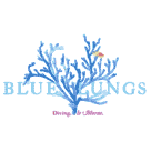 Blue Lungs logo