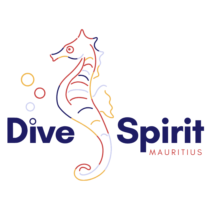 Dive Spirit logo