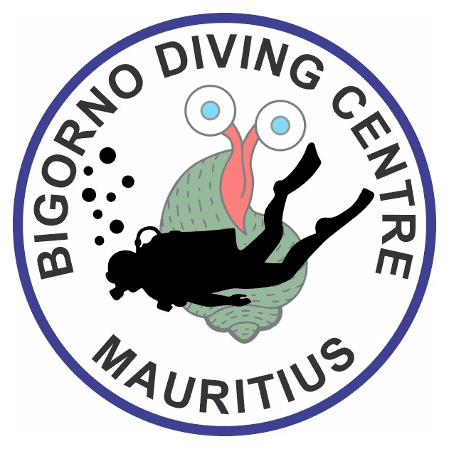 Bigorno logo
